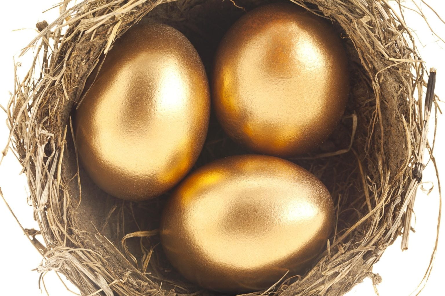 Incubating the Corporate Golden Eggs